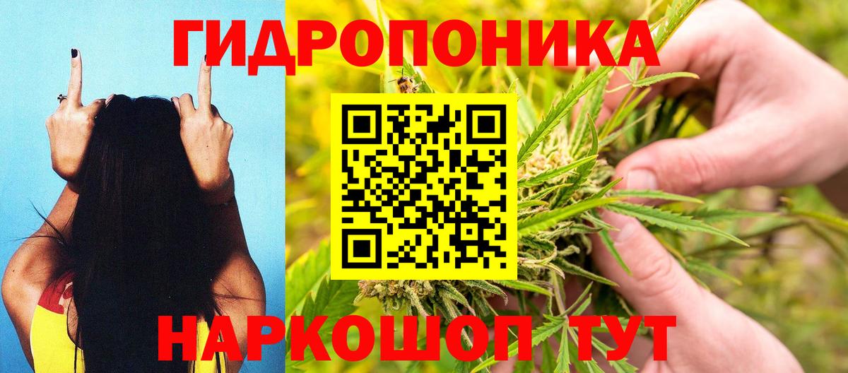 Бошки марихуана сатива  Марихуана ГИДРОПОН  Белая Калитва  Вход с VPN  МАРИХУАНА White Widow 